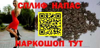 прущие грибы Балаково