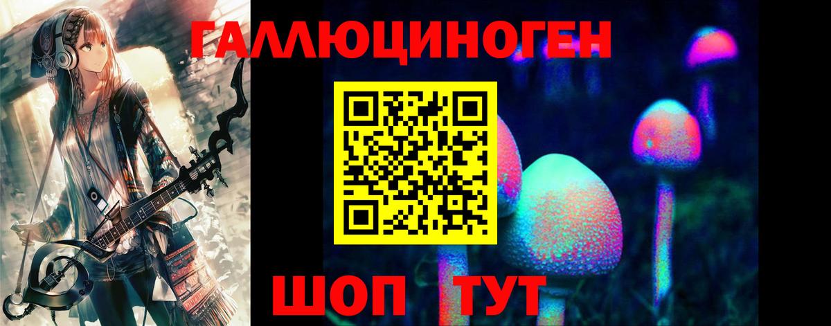 Дубна  Галлюциногенные грибы GOLDEN TEACHER  Вход с VPN 